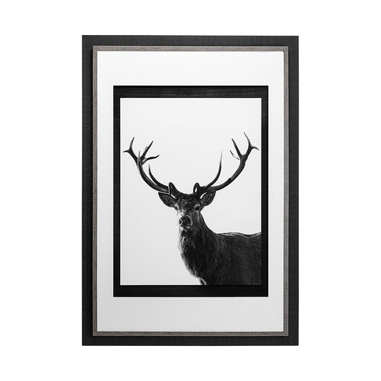 Mercana - Forest Royal Grand by Matthew Roseveare Hand Embelished Textured Framed Art Photo Matted under Glass - 13113 view 1