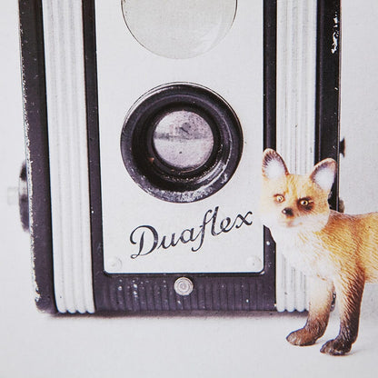 Mercana - Fox & Vintage Camera by Susannah Tucker Photography a Framed Art Print Matted under Glass - 12077 view 5