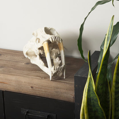 Mercana - Fozzil 9L x 9W Resin Sabretooth Skull Replica - 57425 view 12