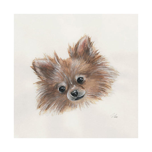 Mercana - Frankie Pomeranian 1 by Mercana Studio a Hand Embellished Textured Canvas - 101774-L view 1