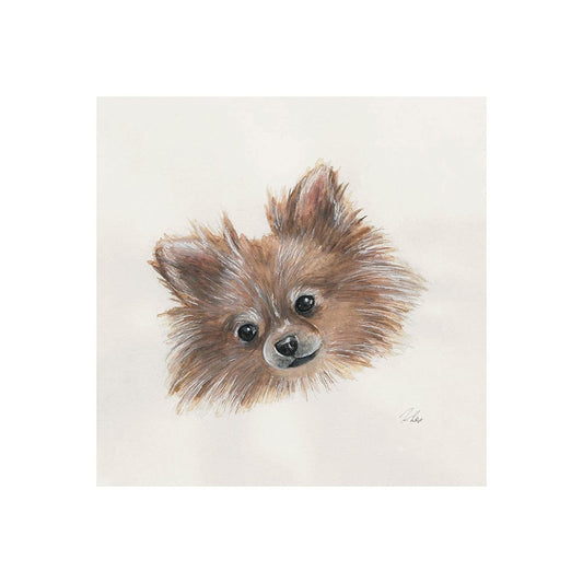 Mercana - Frankie Pomeranian 1 by Mercana Studio a Hand Embellished Textured Canvas - 101774-S view 1