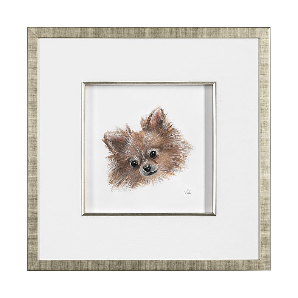 Mercana - Frankie Pomeranian 1 by Mercana Studio Hand Embellished Framed Art Print Matted under Glass - 13376 view 1