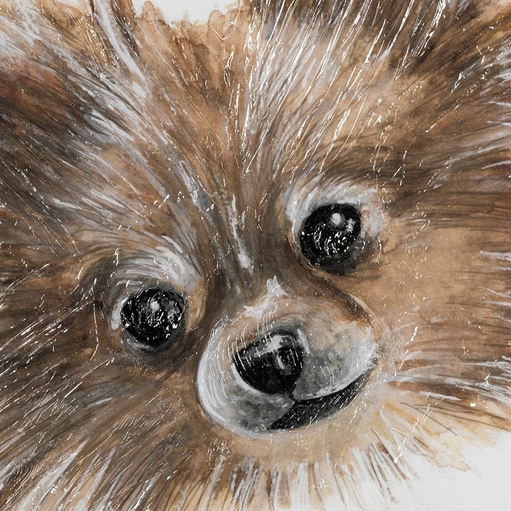 Mercana - Frankie Pomeranian 1 by Mercana Studio Hand Embellished Framed Art Print Matted under Glass - 13376 view 7
