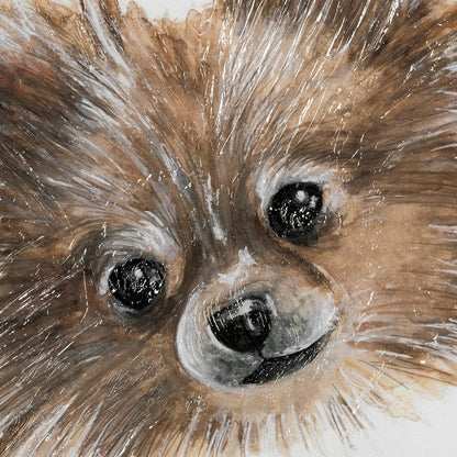 Mercana - Frankie Pomeranian 1 by Mercana Studio Hand Embellished Framed Art Print Matted under Glass - 13376 view 7
