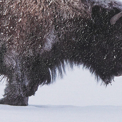 Mercana - Frozen Trek by Mercana Studio a Hand Embellished Textured Framed Art Print Matted under Glass - 14778 view 7