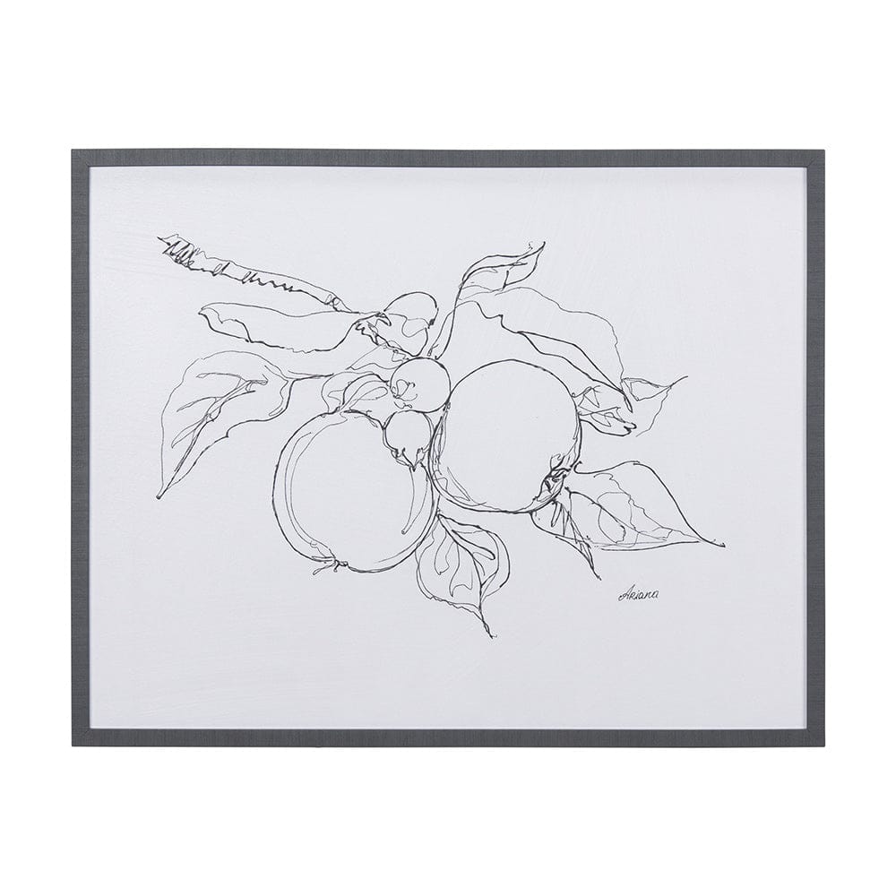 Mercana - Fruit Sketch Apple by Mercana Studio a Hand Embellished Textured Framed Art Print - 14338 view 1