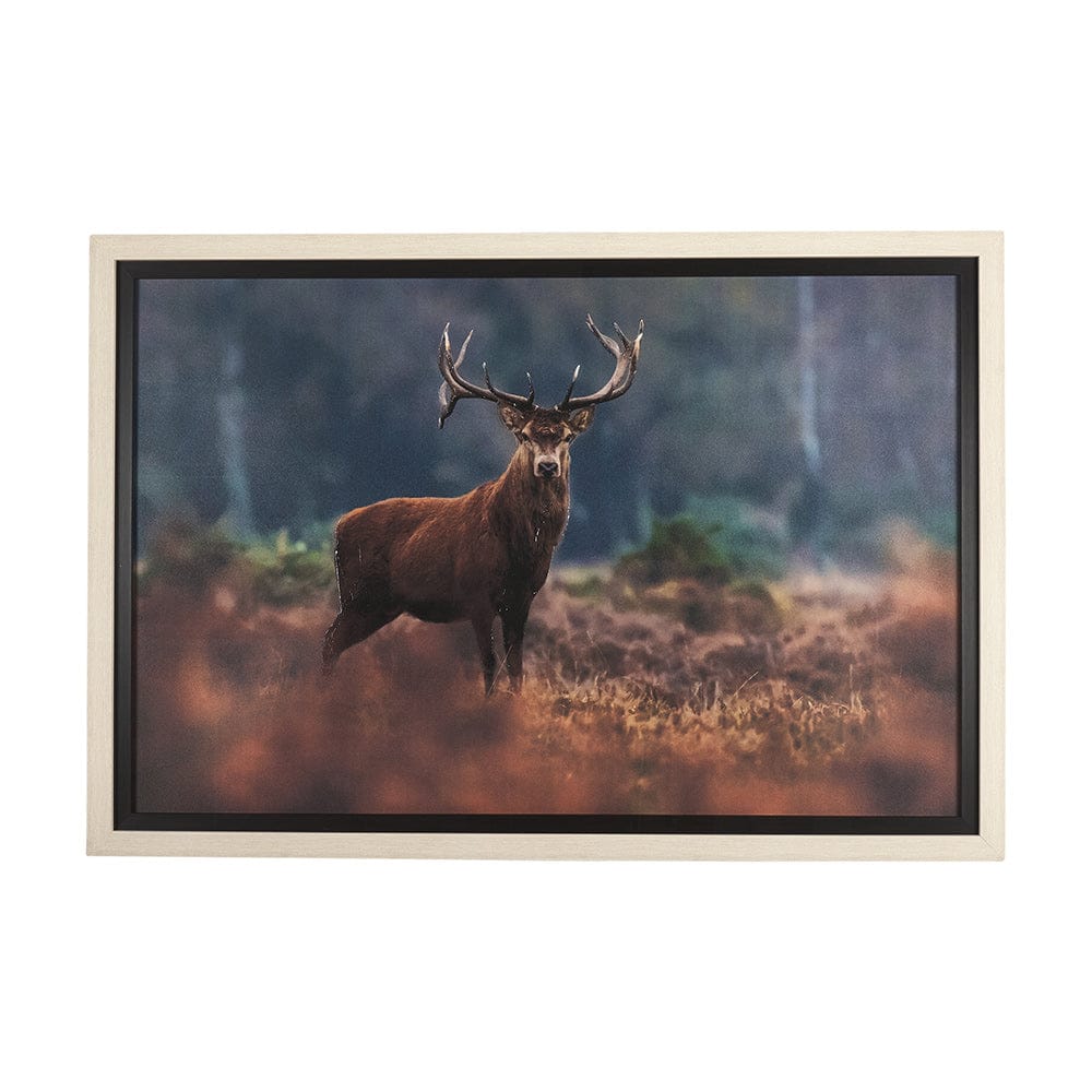 Mercana - Glorious Stag by Mercana Studio a Hand Embellished Textured Framed Art Print Matted under Glass - 14775 view 1