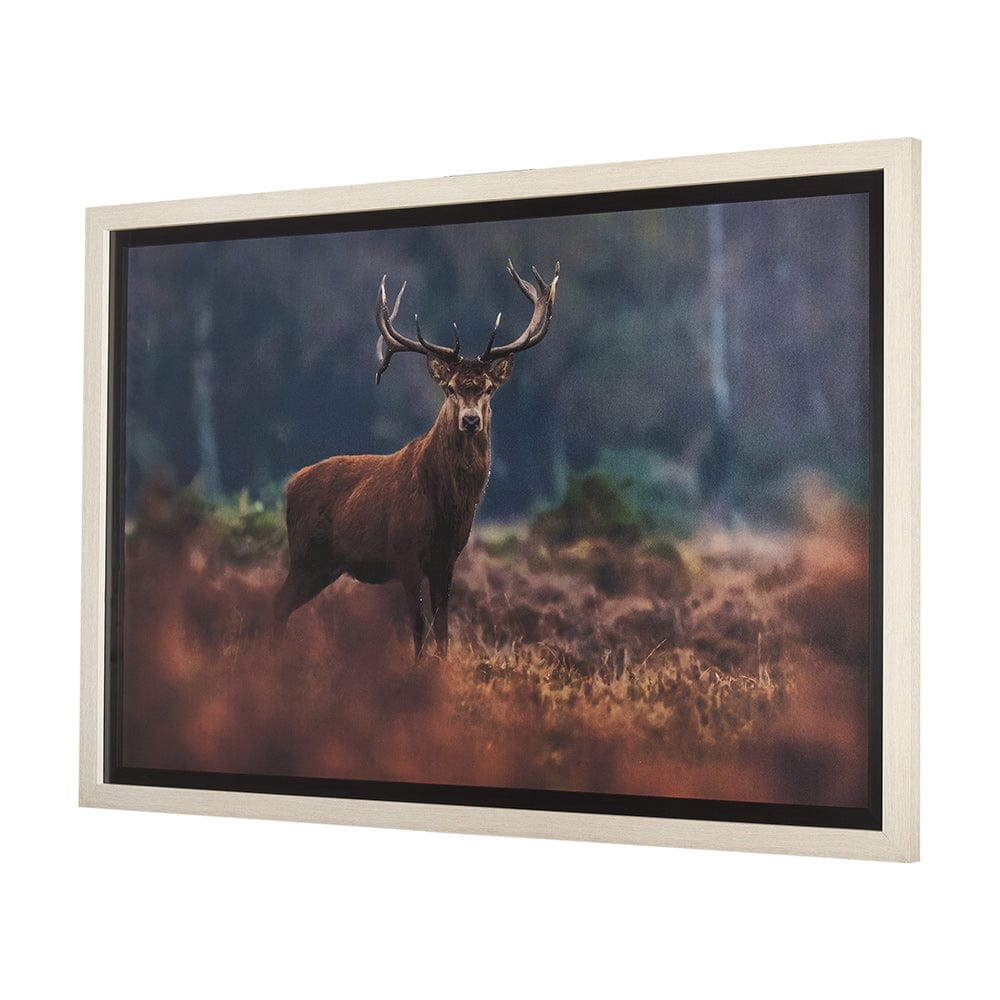 Mercana - Glorious Stag by Mercana Studio a Hand Embellished Textured Framed Art Print Matted under Glass - 14775 view 2