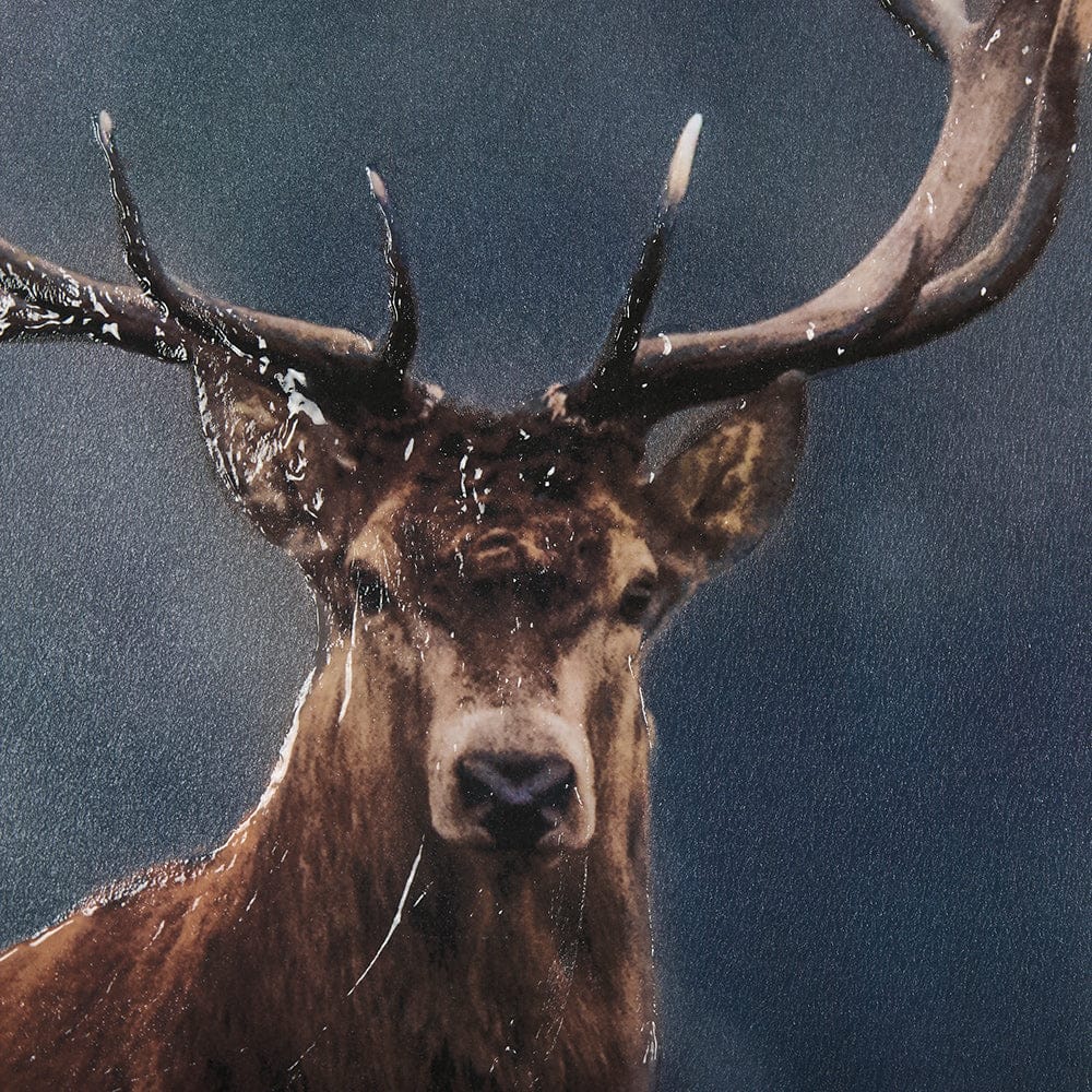 Mercana - Glorious Stag by Mercana Studio a Hand Embellished Textured Framed Art Print Matted under Glass - 14775 view 6