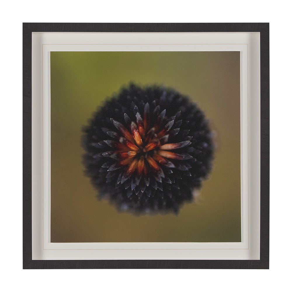 Mercana - Glowing by Stig Kalvelid a Hand Embellished Framed Art Print Matted under Glass - 15557 view 1