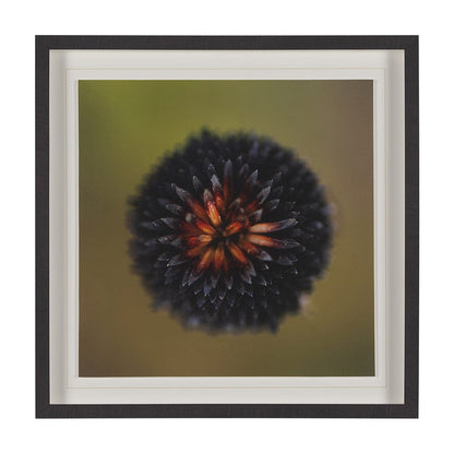 Mercana - Glowing by Stig Kalvelid a Hand Embellished Framed Art Print Matted under Glass - 15557 view 1