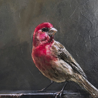 Mercana - Graceful Poise I House Finch by Mercana Studio a Hand Embellished Framed Art Print Matted under Gl - 14482 view 7