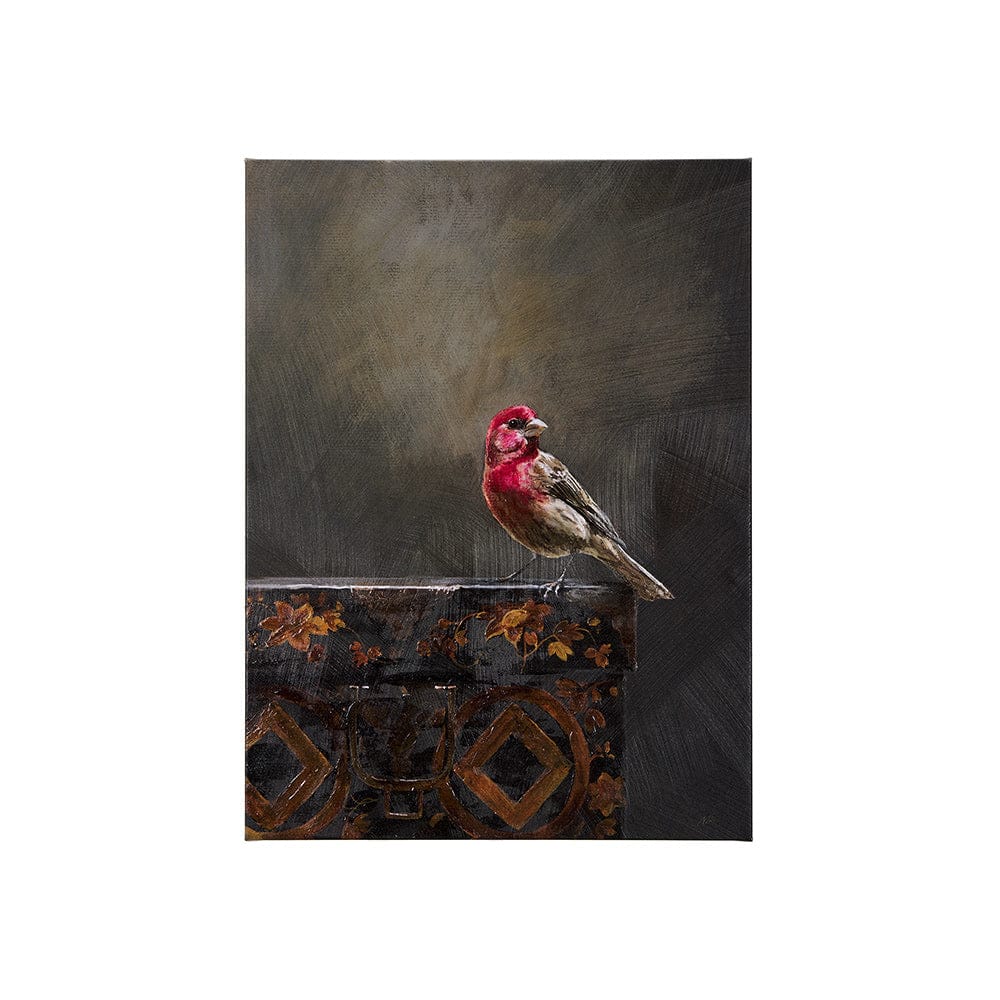 Mercana - Graceful Poise I House Finch30 x 40 Canvas Art - 102344-S view 1