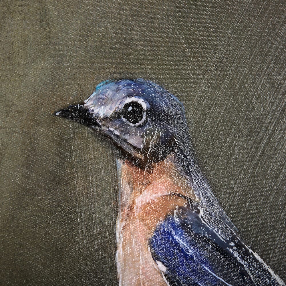 Mercana - Graceful Poise II Eastern Bluebird42 x 56 Canvas Art - 102345-L view 7