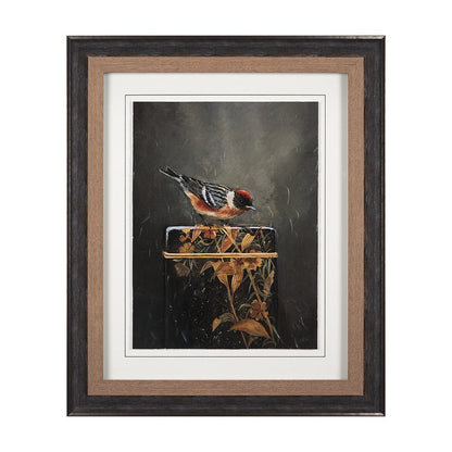 Mercana - Graceful Poise III Bay-Breasted Warbler - 14484 view 1
