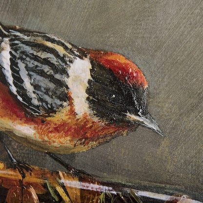 Mercana - Graceful Poise III Bay-Breasted Warbler Canvas Art - 102346-L view 7