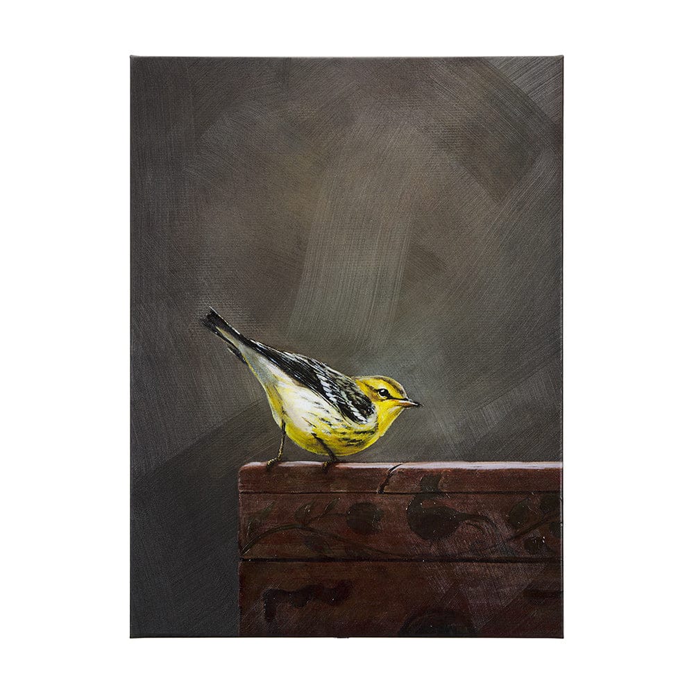 Mercana - Graceful Poise III Bay-Breasted Warbler42 x 56 Canvas Art - 102347-L view 1