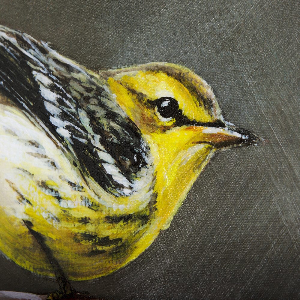 Mercana - Graceful Poise IV Blackburnian Warbler30 x 40 Canvas Art - 102347-S view 7