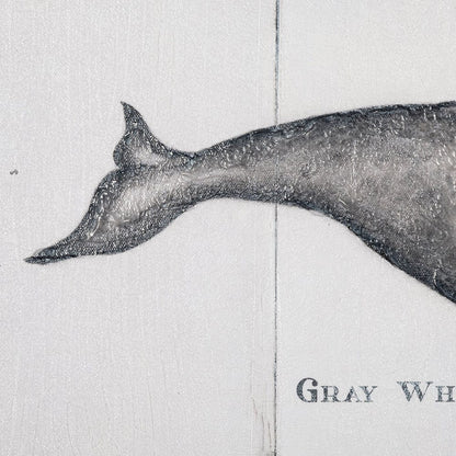 Mercana - Gray Whale by Mercana Studio a Hand Embellished Textured Canvas - 101866-L view 3