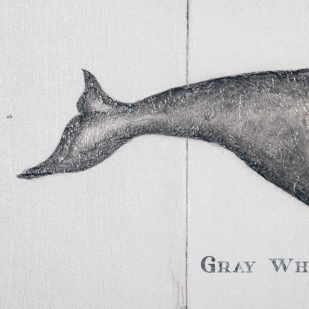 Mercana - Gray Whale by Mercana Studio a Hand Embellished Textured Canvas - 101866-S view 3