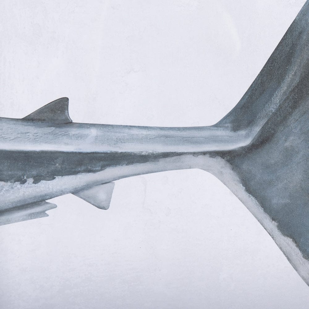 Mercana - Great White Shark by Ariana a Hand Embellished Textured Framed Art Print Matted under Glass - 14904 view 7