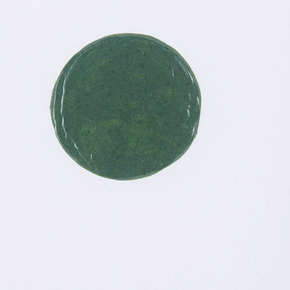 Mercana - Green Desert II by Mercana Studio a Hand Embelished Textured Framed Art Print Matted under Glass - 14076 view 6