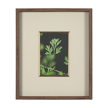 Mercana - Green Growth by Michael Banks a Hand Embellished Framed Art Print Matted under Glass - 15801 view 1