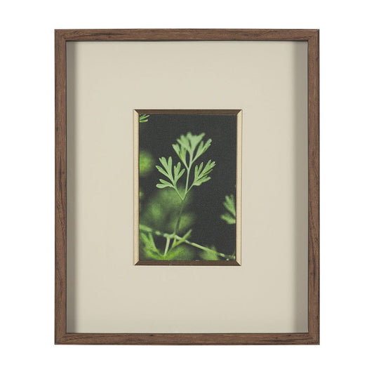 Mercana - Green Growth by Michael Banks a Hand Embellished Framed Art Print Matted under Glass - 15801 view 1