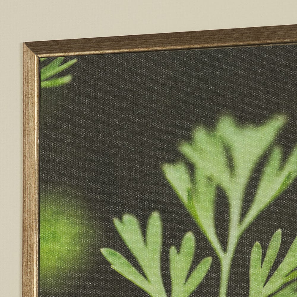 Mercana - Green Growth by Michael Banks a Hand Embellished Framed Art Print Matted under Glass - 15801 view 7