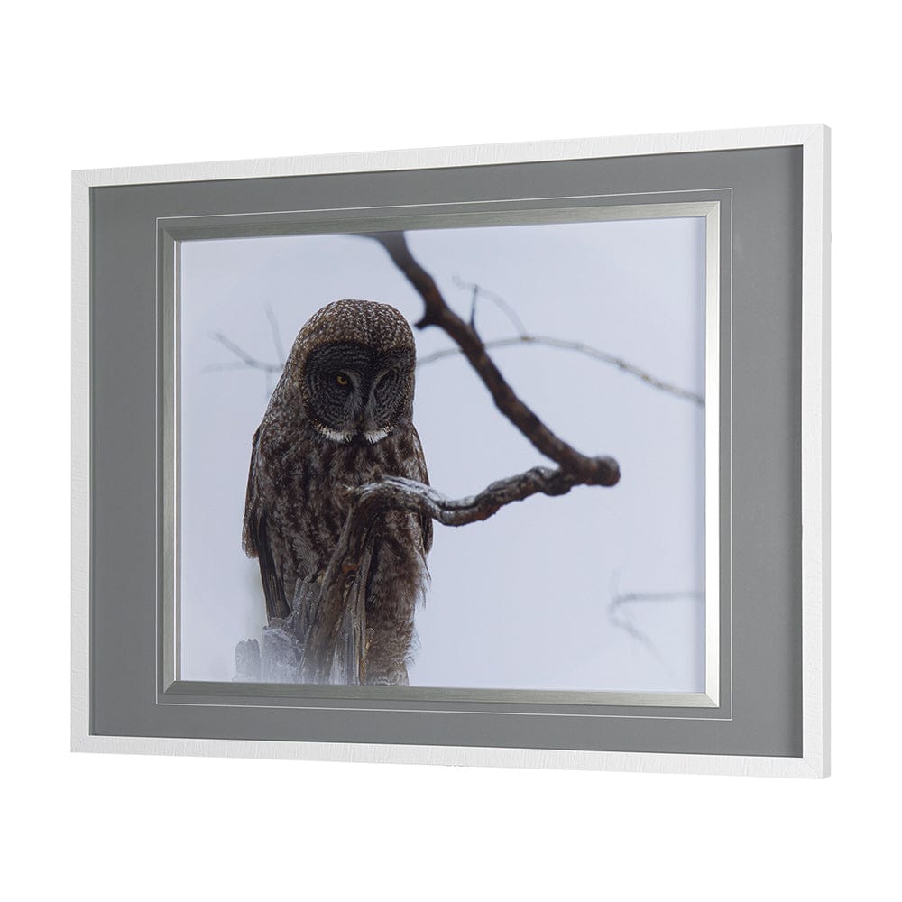 Mercana - Grey Owl by Chad Mackay a Hand Embellished Textured Framed Art Print Matted under Glass - 14367 view 2