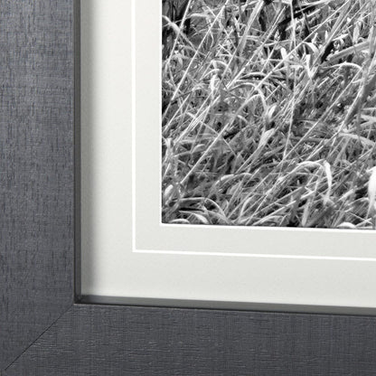 Mercana - Grey & White Barn Ii by Mercana Studio Hand Embellished Textured Framed Art Print Matted under Glass - 14180 view 5
