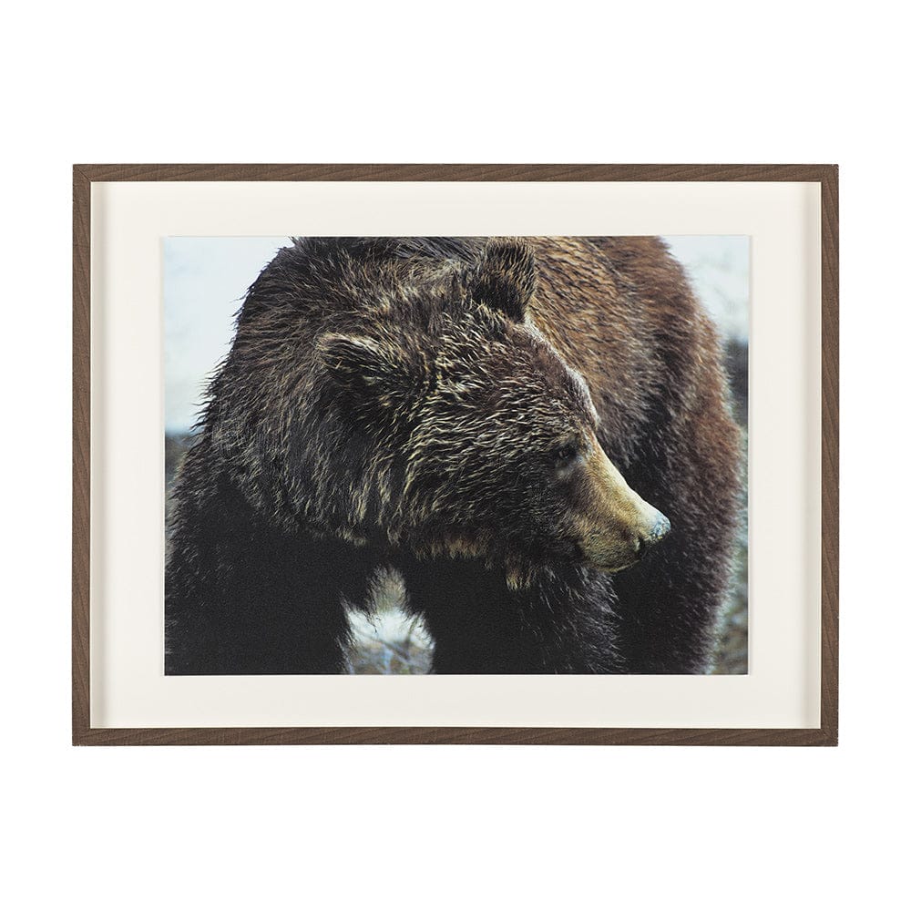 Mercana - Grizzly Bear by Chad Mackay a Hand Embellished Textured Framed Art Print Matted under Glass - 14875 view 1