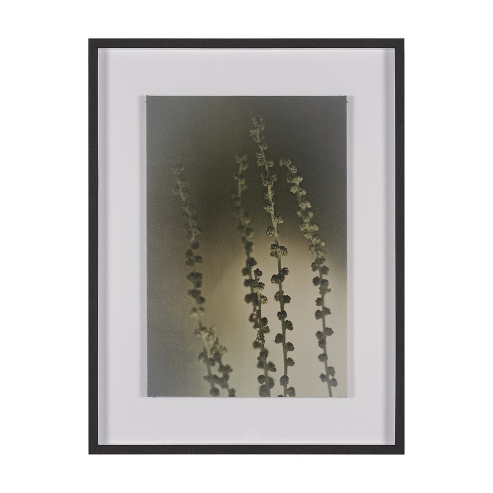 Mercana - Hanging Delight by Michael Banks a Hand Embellished Framed Art Print Matted under Glass - 15815 view 1