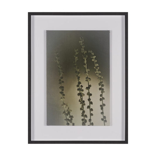 Mercana - Hanging Delight by Michael Banks a Hand Embellished Framed Art Print Matted under Glass - 15815 view 1