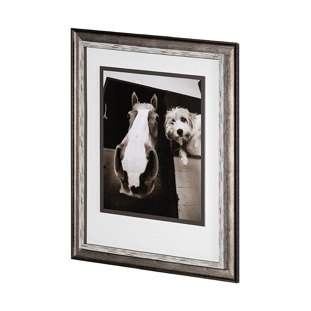 Mercana - Hanging Out by Jim Drafield a Framed Art Print Matted under Glass - 13541 view 2