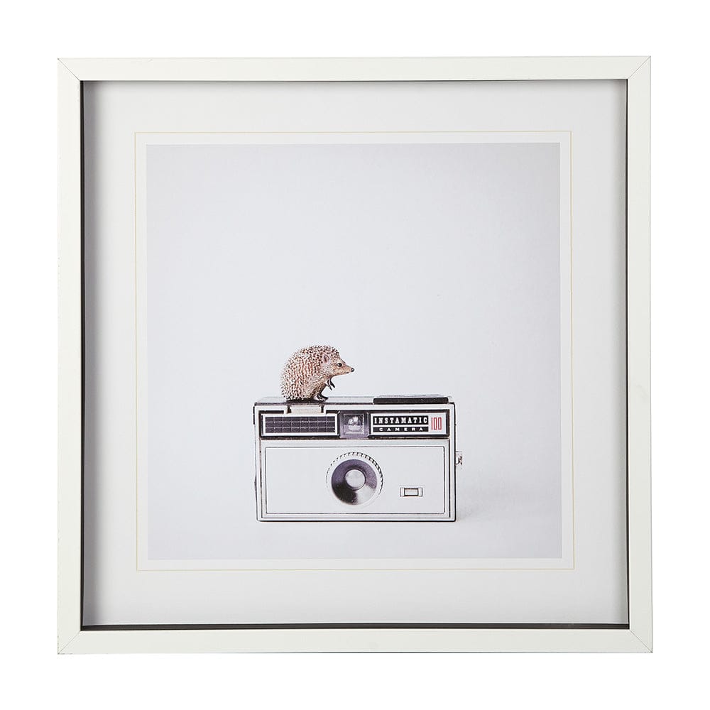 Mercana - Hedgehog & Vintage Camera by Susannah Tucker Photography a Framed Art Print Matted under Glass - 12078 view 1