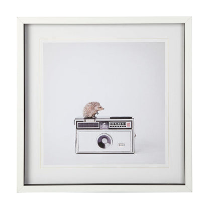 Mercana - Hedgehog & Vintage Camera by Susannah Tucker Photography a Framed Art Print Matted under Glass - 12078 view 1