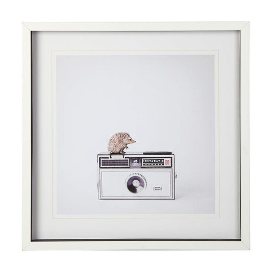 Mercana - Hedgehog & Vintage Camera by Susannah Tucker Photography a Framed Art Print Matted under Glass - 12078 view 1