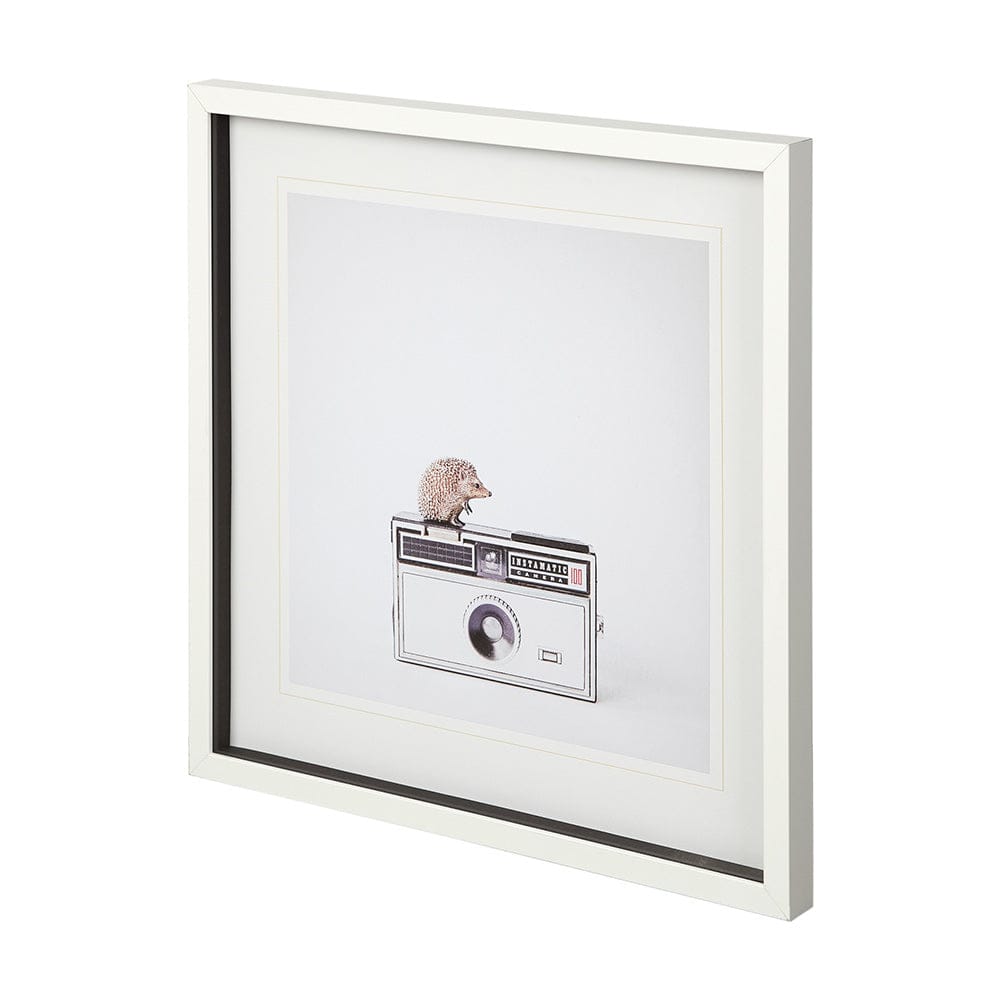 Mercana - Hedgehog & Vintage Camera by Susannah Tucker Photography a Framed Art Print Matted under Glass - 12078 view 2