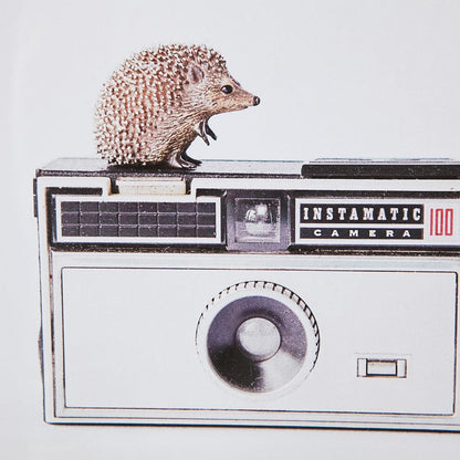 Mercana - Hedgehog & Vintage Camera by Susannah Tucker Photography a Framed Art Print Matted under Glass - 12078 view 5