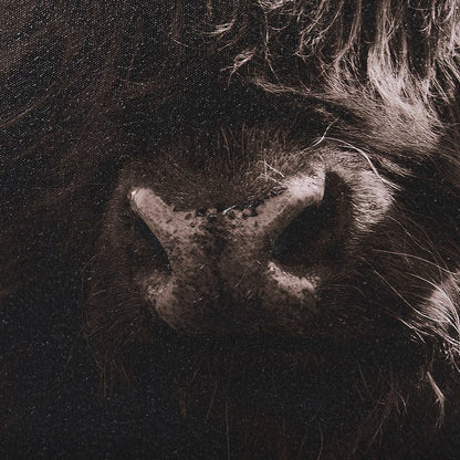 Mercana - Highland Stare by Chad Mackay a Hand Embellished Textured Framed Art Print - 15217 view 6
