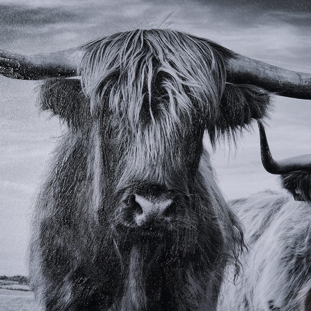 Mercana - Highlands by Mercana Studio a Hand Embellished Textured Framed Art Print Matted under Glass - 15018 view 6