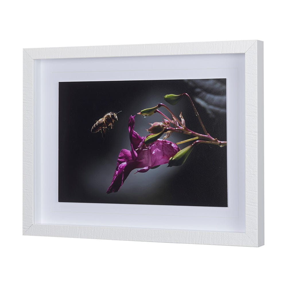 Mercana - Honey Bee by Chad Mackay a Framed Art Print Matted under Glass - 14369 view 2