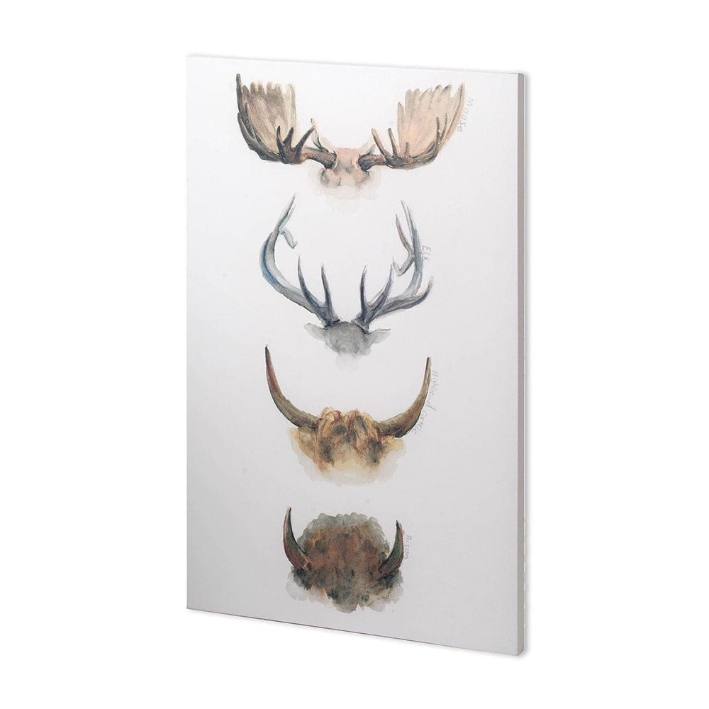 Mercana - Horn & Tail Study II by Mercana Studio a Hand Embellished Textured Canvas - 100731-L view 1