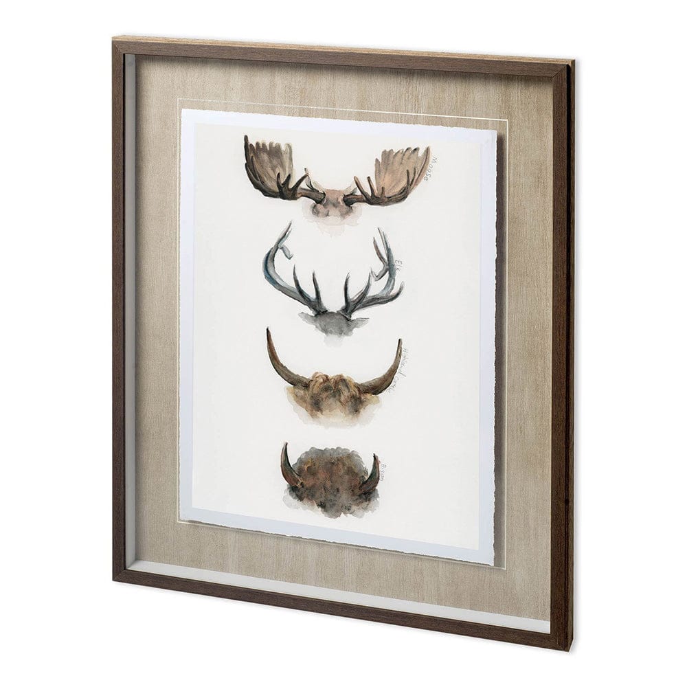 Mercana - Horn & Tail Study II by Mercana Studio Hand Embelished Textured Framed Art Print Matted under Glass - 11686 view 1