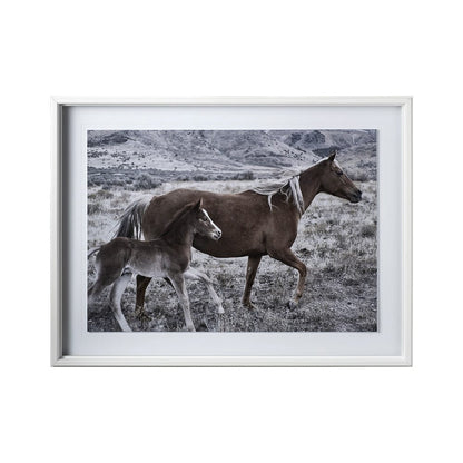 Mercana - Horse 2 by Dunker a Framed Art Print Matted under Glass - 12571 view 1