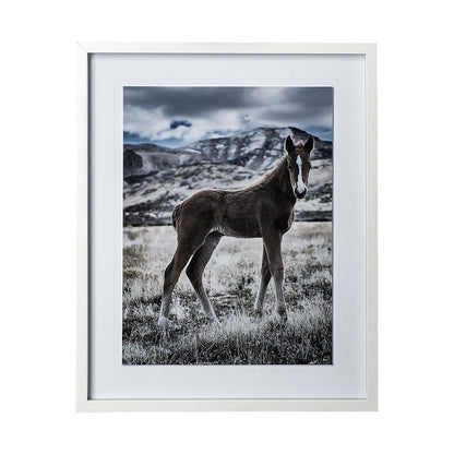Mercana - Horse 3 by Dunker a Framed Art Print Matted under Glass - 12569 view 1