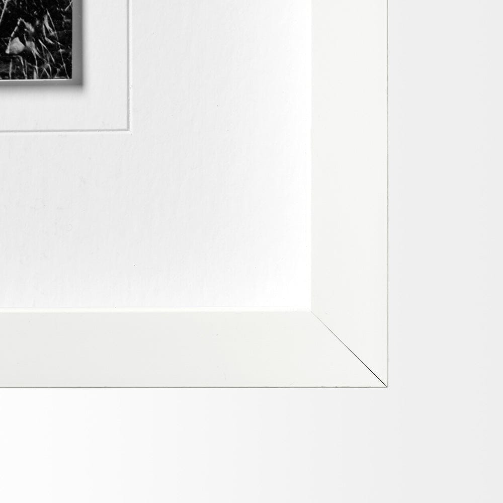 Mercana - Horse 3 by Dunker a Framed Art Print Matted under Glass - 12569 view 3