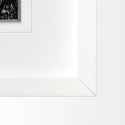Mercana - Horse 3 by Dunker a Framed Art Print Matted under Glass - 12569 view 3
