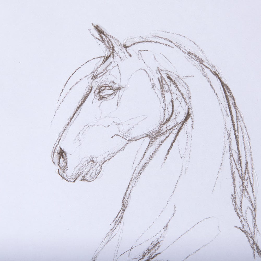 Mercana - Horse II by Mercana Studio a Hand Embellished Textured Framed Art Print Matted under Glass - 14302 view 7